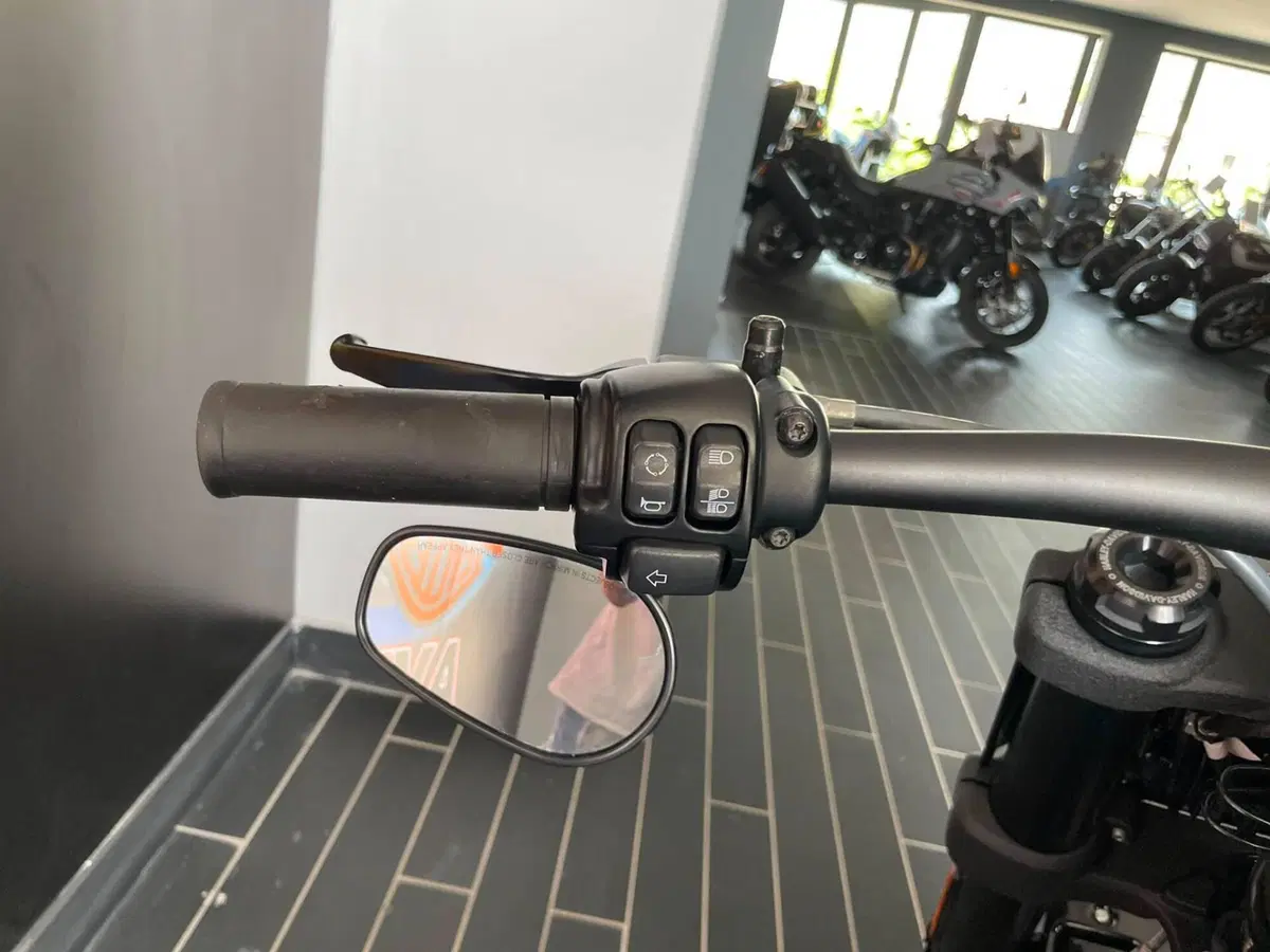 Harley-Davidson Fat Bob 114 (2021 - 25) (15)