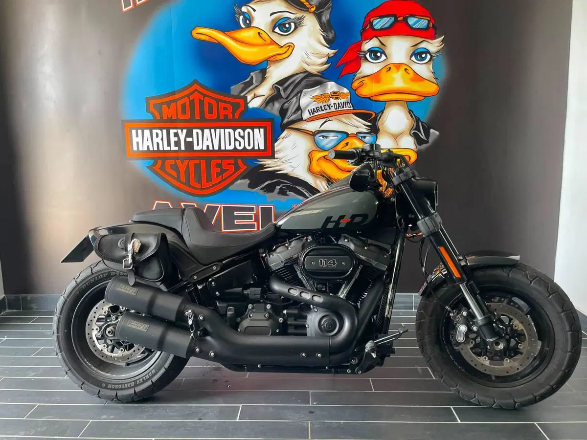 Harley-Davidson Fat Bob 114 (2021 - 25) (19)