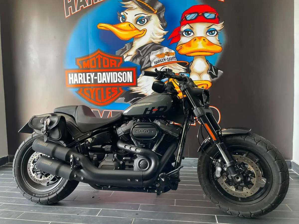 Harley-Davidson Fat Bob 114 (2021 - 25) (5)