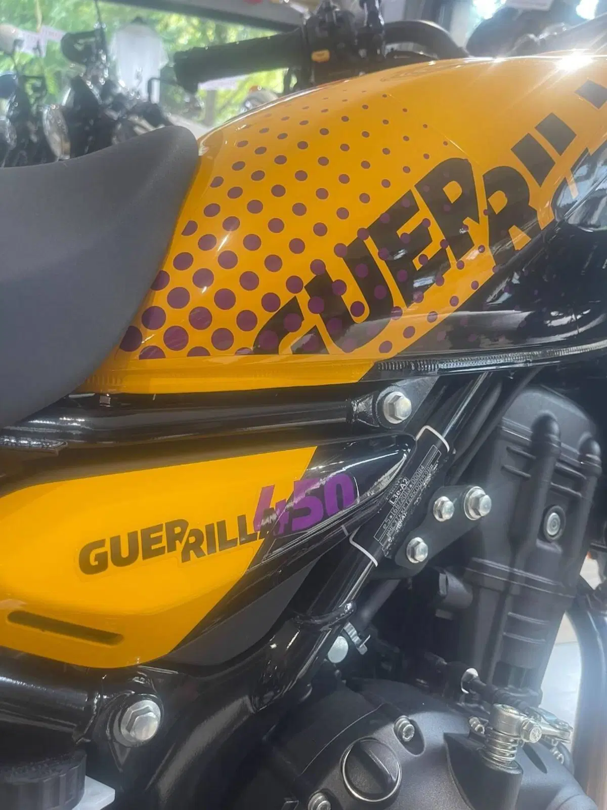 Royal Enfield Guerrilla 450 (2024 - 26) (10)