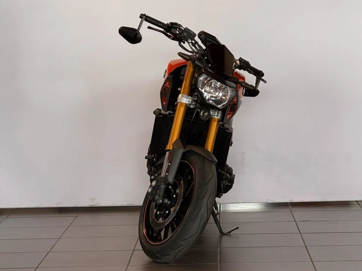 Yamaha MT-09 (2013 - 15) (2)