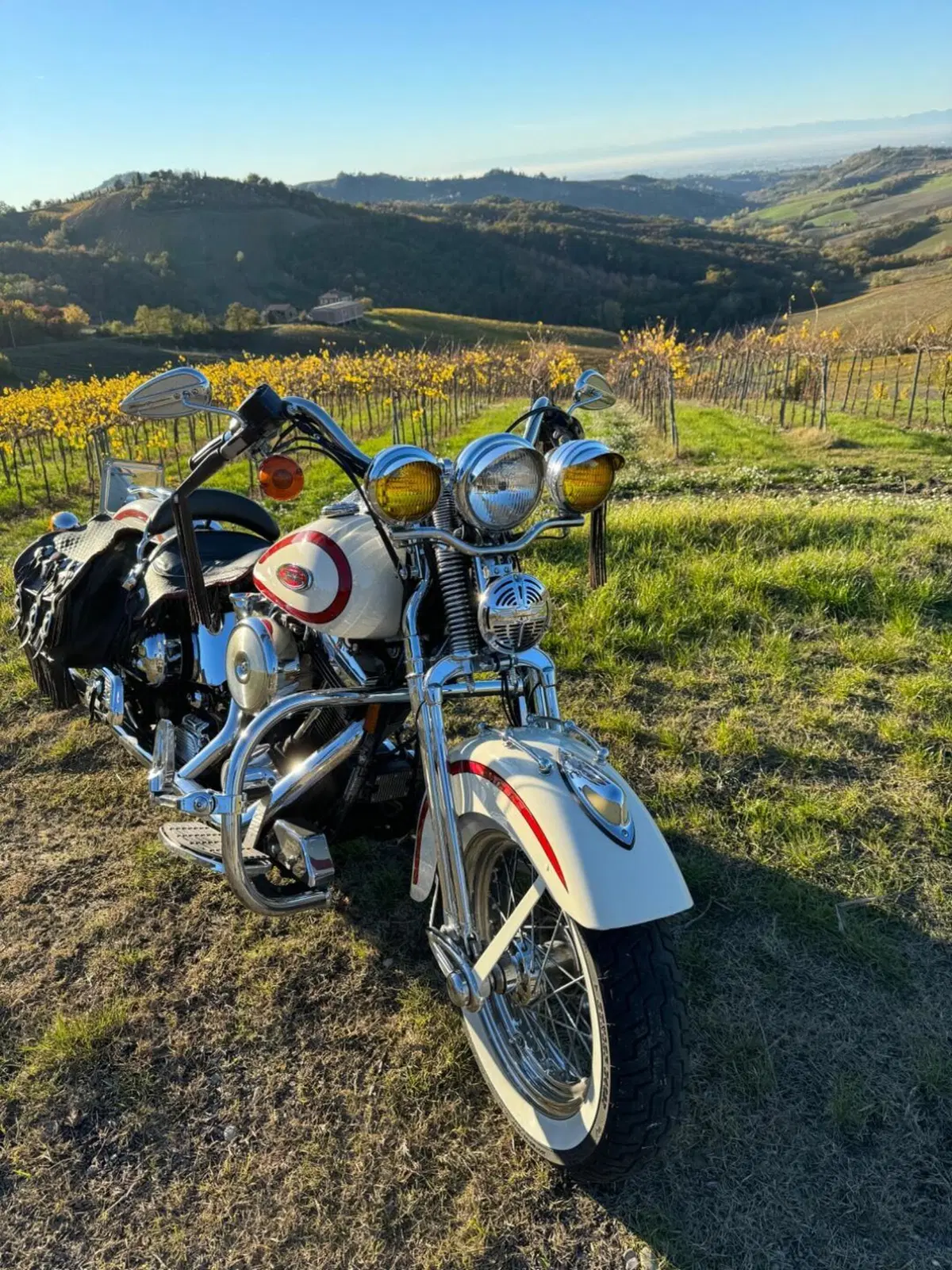 Harley-Davidson 1340 Heritage Springer (1997 - 99) - FLSTS (2)