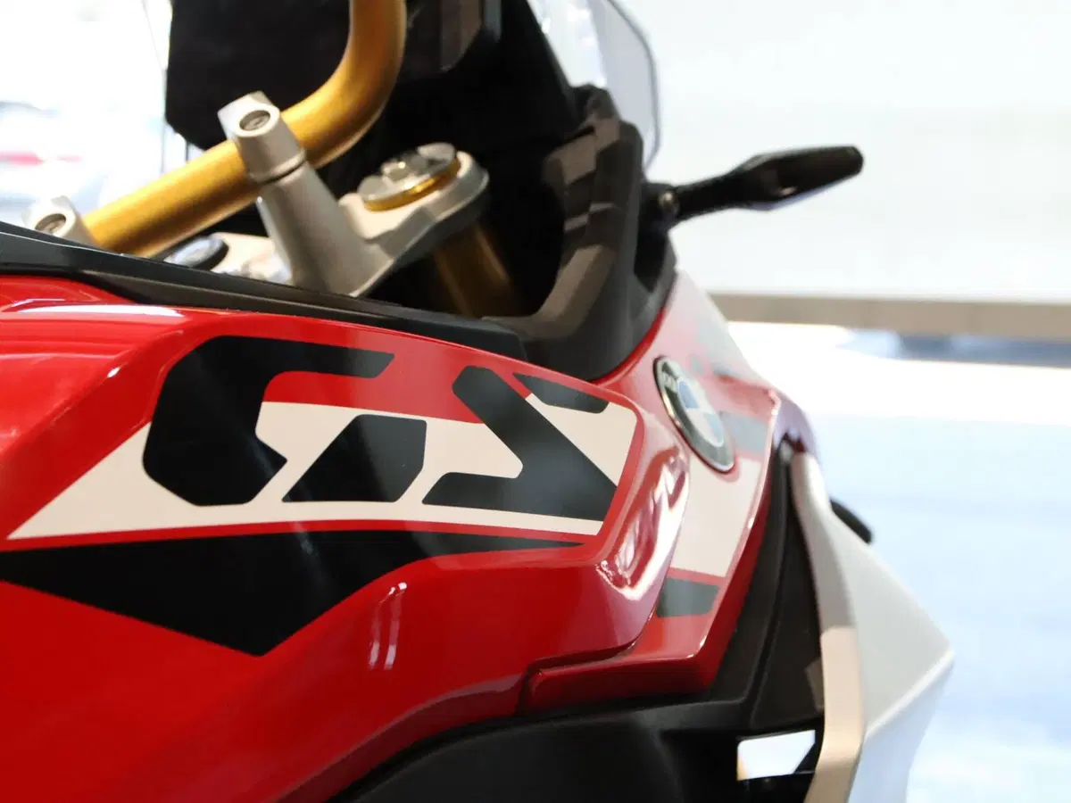 Bmw F 450 GS (2026) (8)