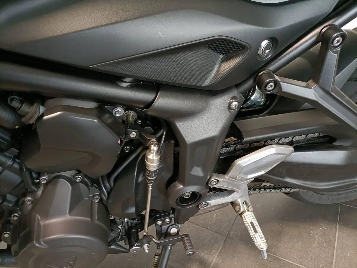 Triumph Trident 660 (2021 - 24) (8)