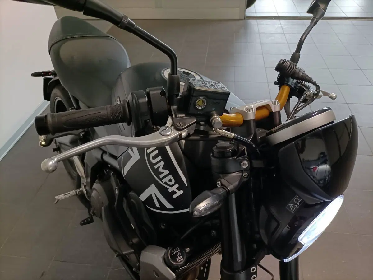 Triumph Trident 660 (2021 - 24) (11)