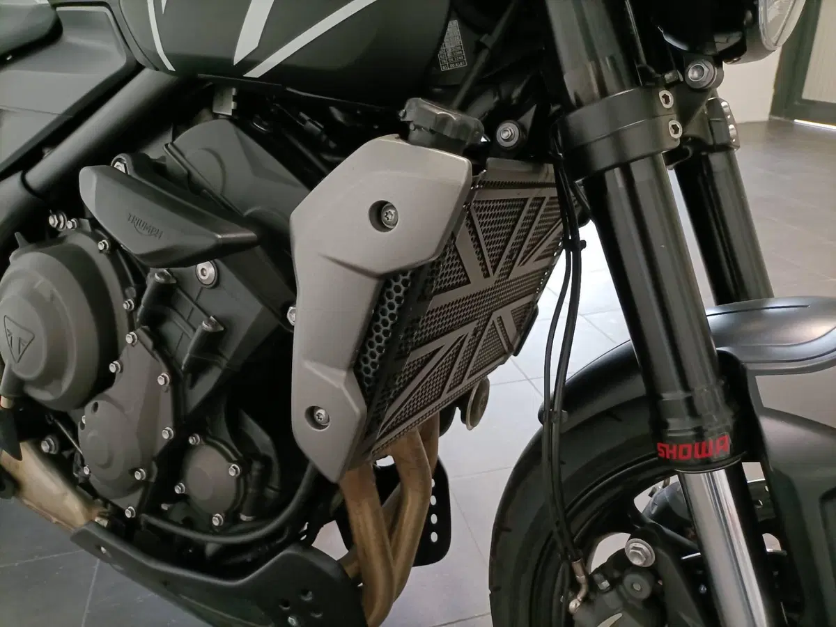 Triumph Trident 660 (2021 - 24) (13)