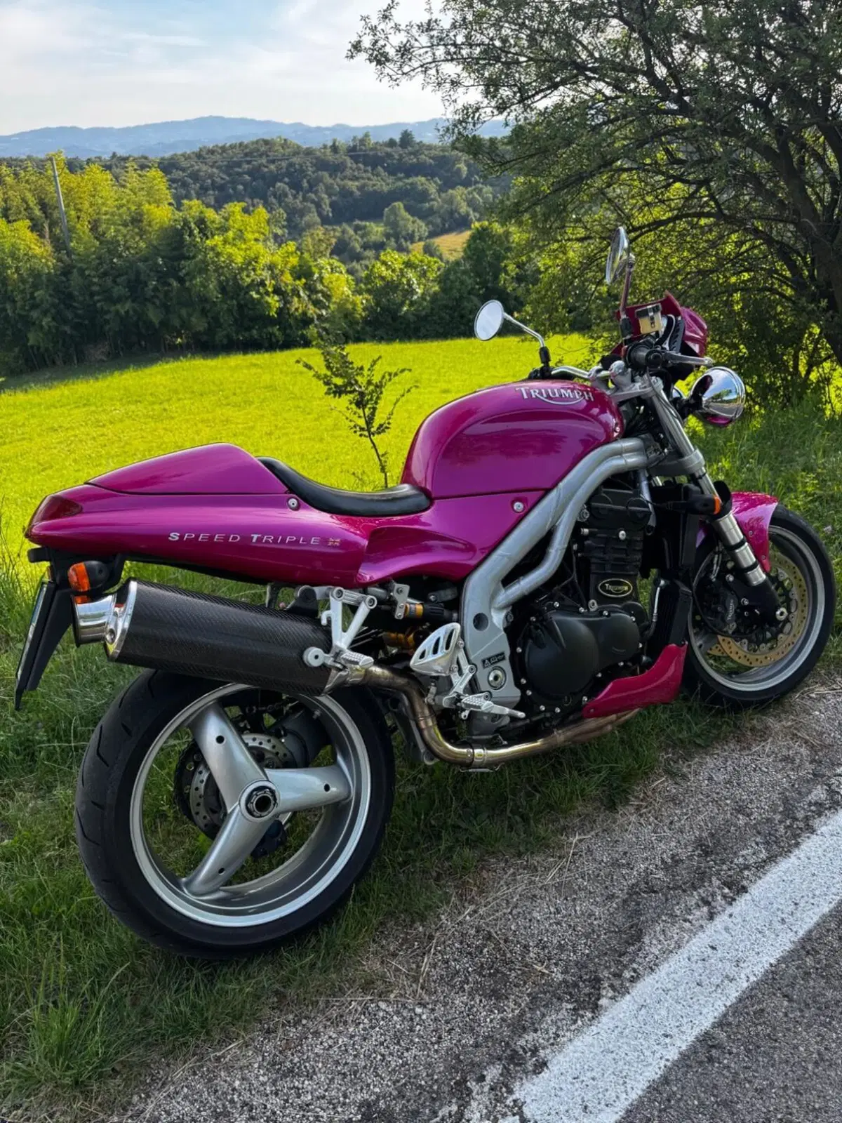 Triumph Speed Triple 955 (1998 - 01)