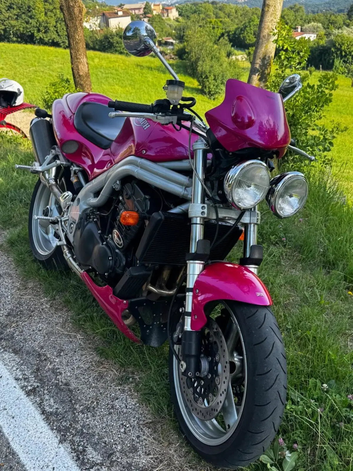 Triumph Speed Triple 955 (1998 - 01) (2)