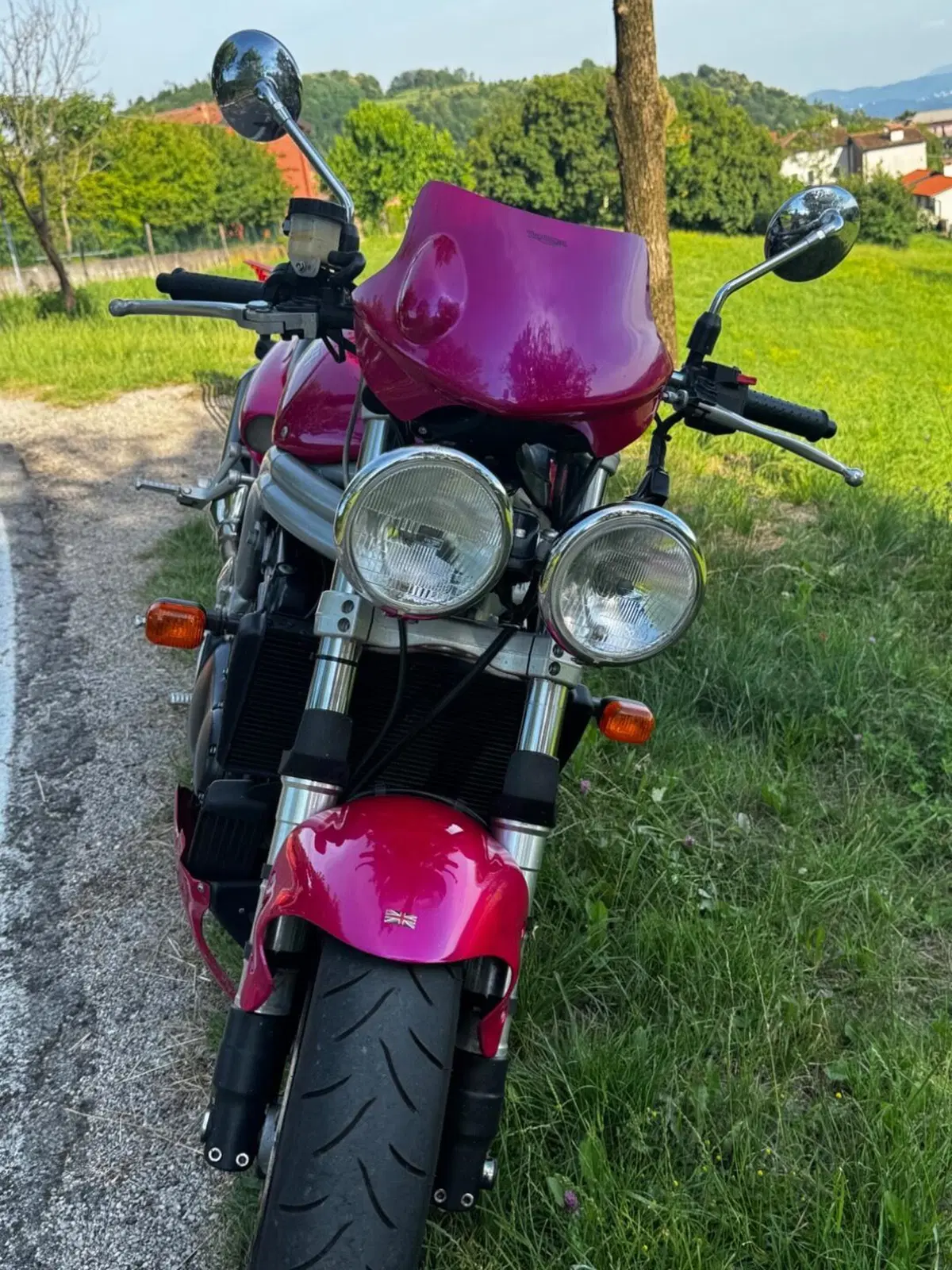 Triumph Speed Triple 955 (1998 - 01) (4)