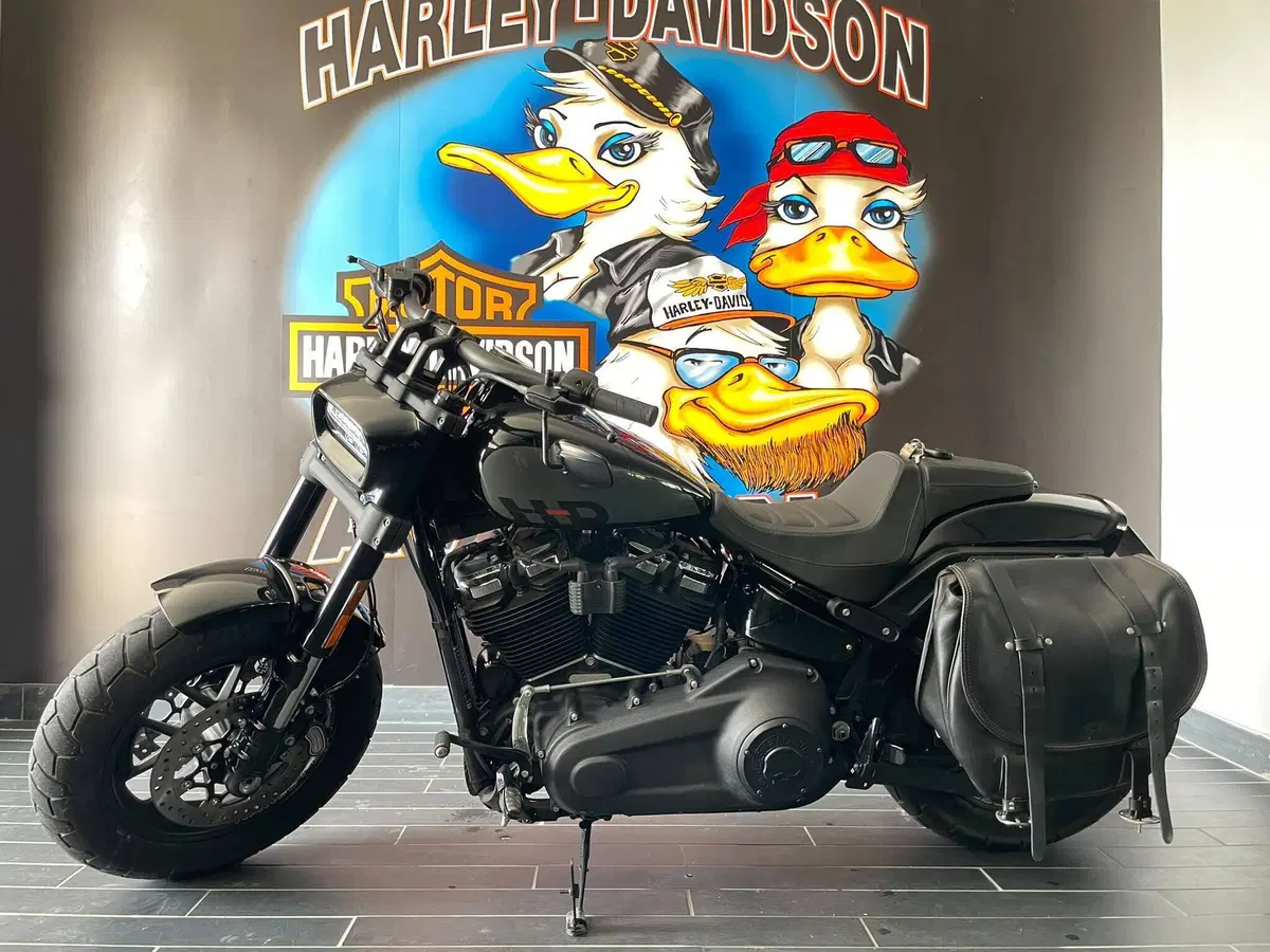 Harley-Davidson Fat Bob 114 (2021 - 25) (2)