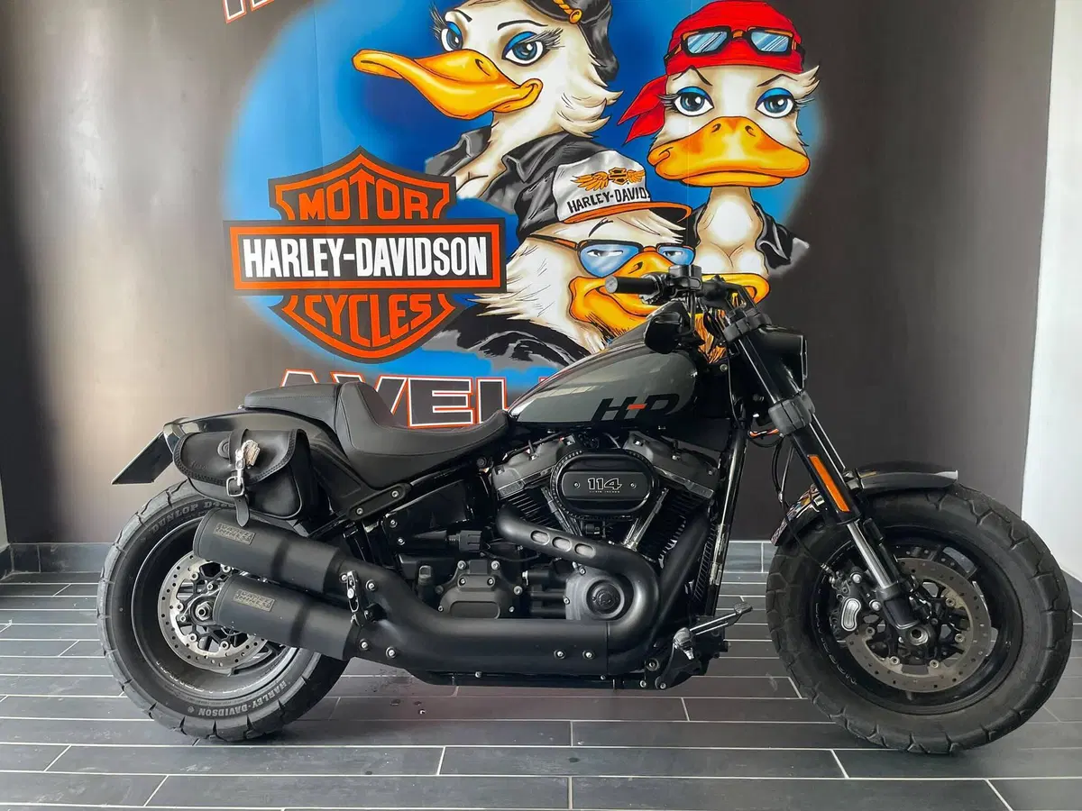 Harley-Davidson Fat Bob 114 (2021 - 25) (18)
