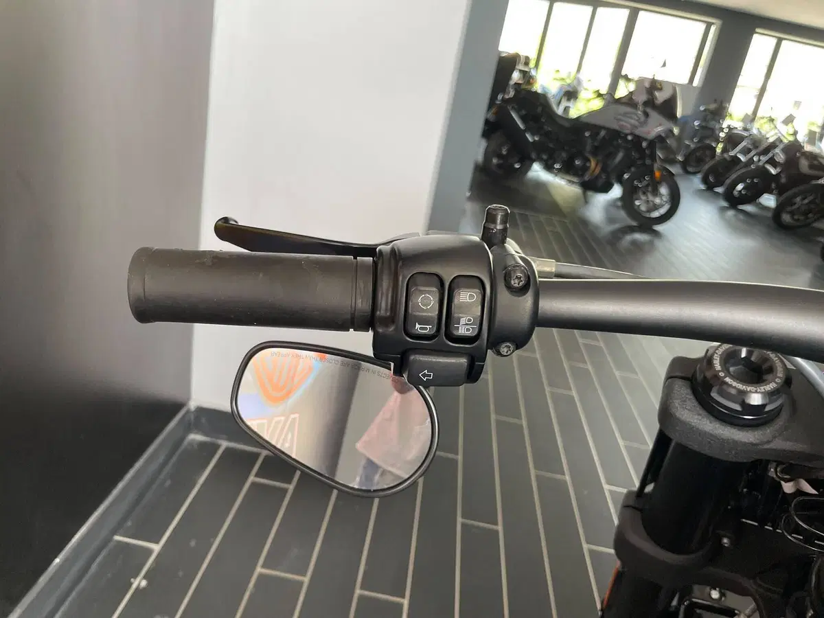 Harley-Davidson Fat Bob 114 (2021 - 25) (14)