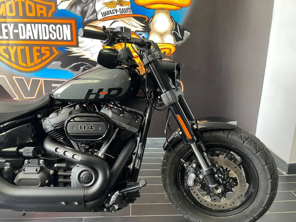 Harley-Davidson Fat Bob 114 (2021 - 25) (3)