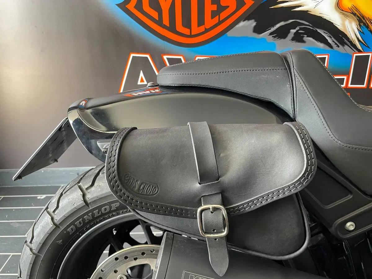 Harley-Davidson Fat Bob 114 (2021 - 25) (7)