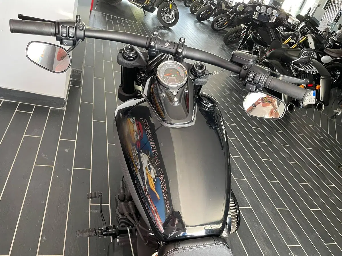 Harley-Davidson Fat Bob 114 (2021 - 25) (12)