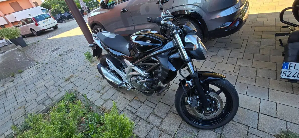 Suzuki Gladius 650 SFV (2009 - 15) (2)