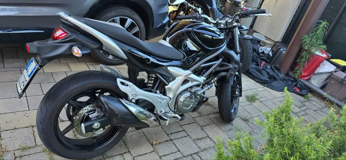 Suzuki Gladius 650 SFV (2009 - 15) (4)
