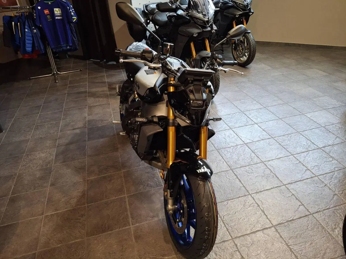 Yamaha MT-09 SP (2024 - 26) (5)