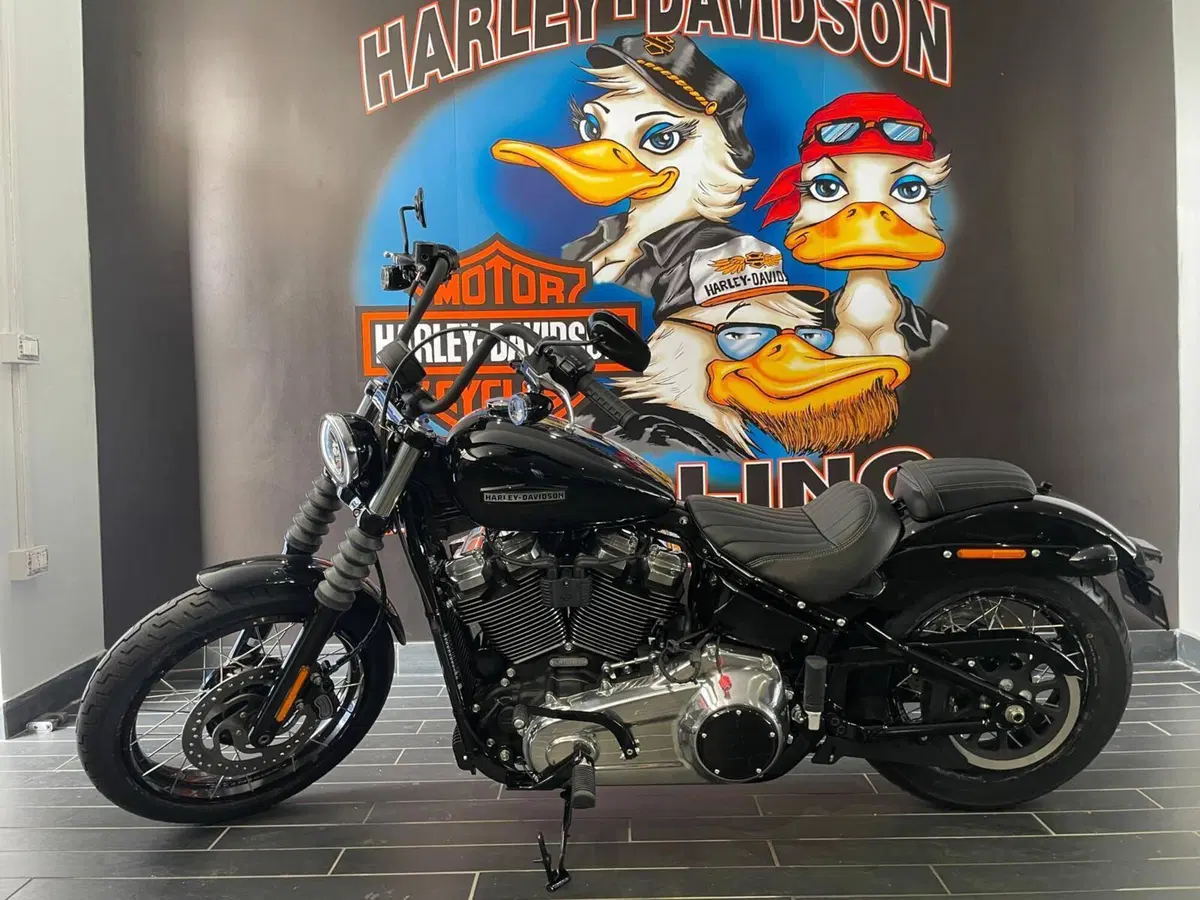 Harley-Davidson Street Bob 117 (2025 - 26) (2)