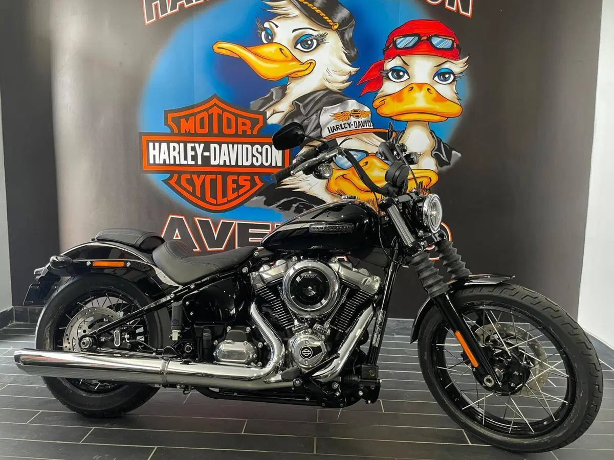 Harley-Davidson Street Bob 117 (2025 - 26)