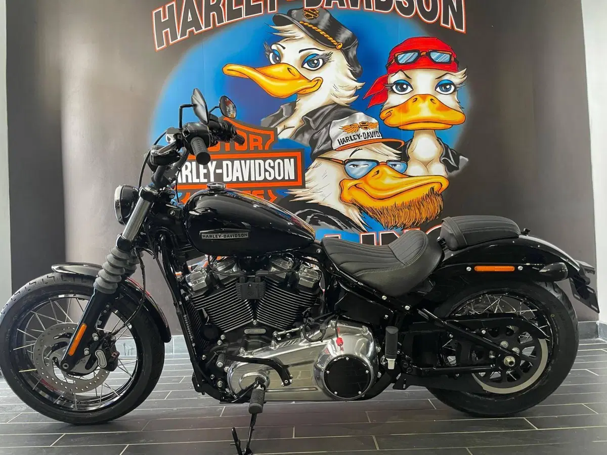 Harley-Davidson Street Bob 117 (2025 - 26) (3)
