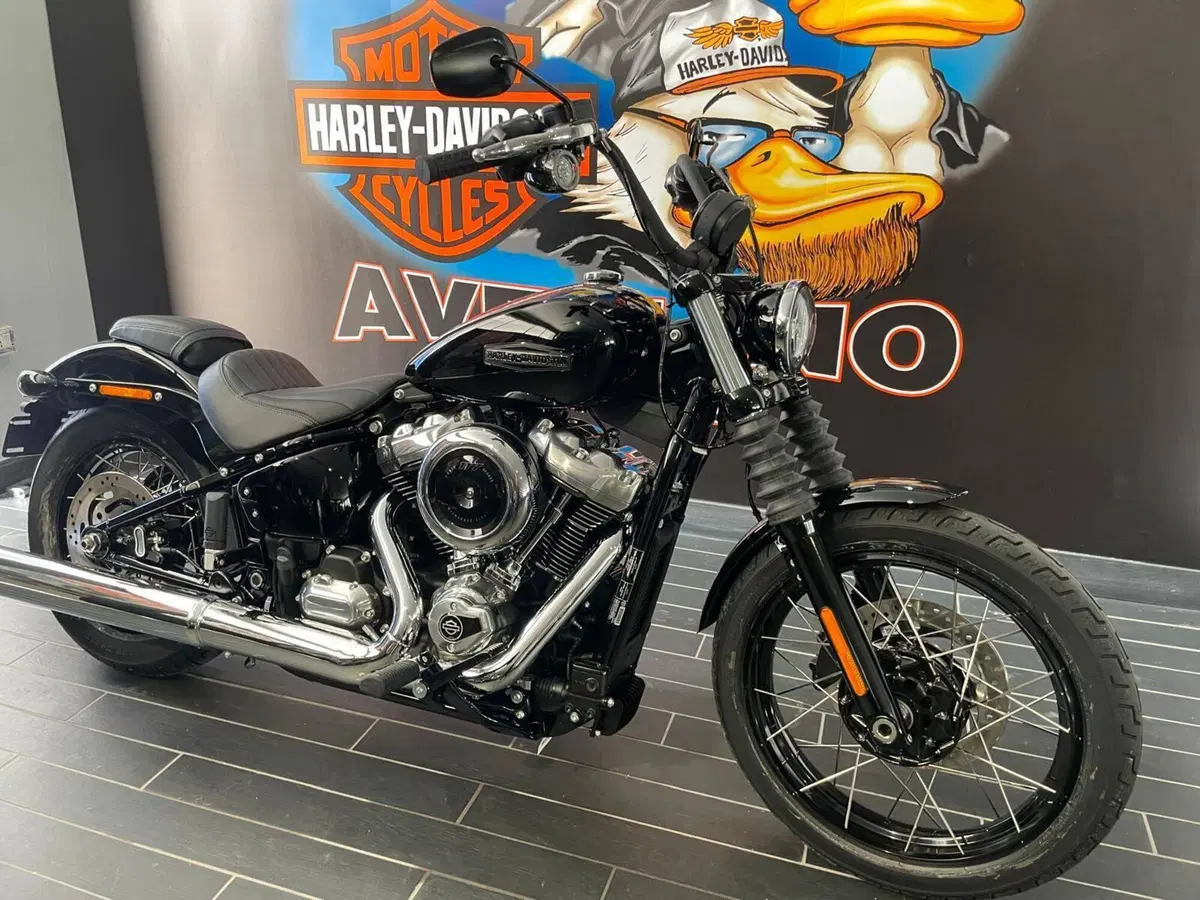Harley-Davidson Street Bob 117 (2025 - 26) (4)