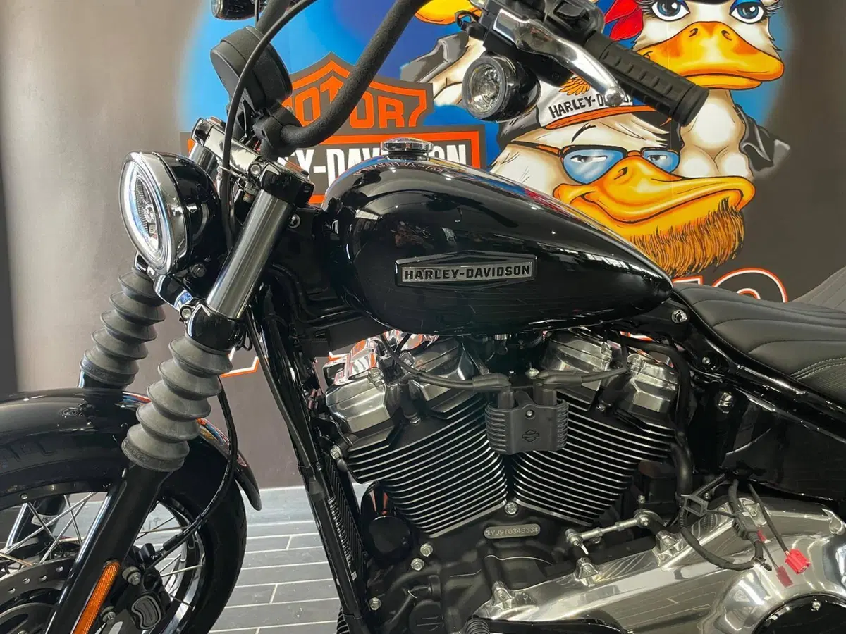 Harley-Davidson Street Bob 117 (2025 - 26) (5)