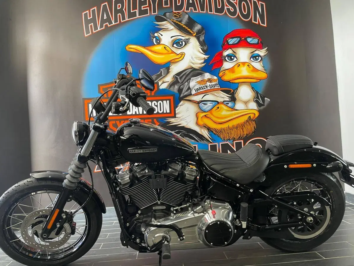 Harley-Davidson Street Bob 117 (2025 - 26) (6)