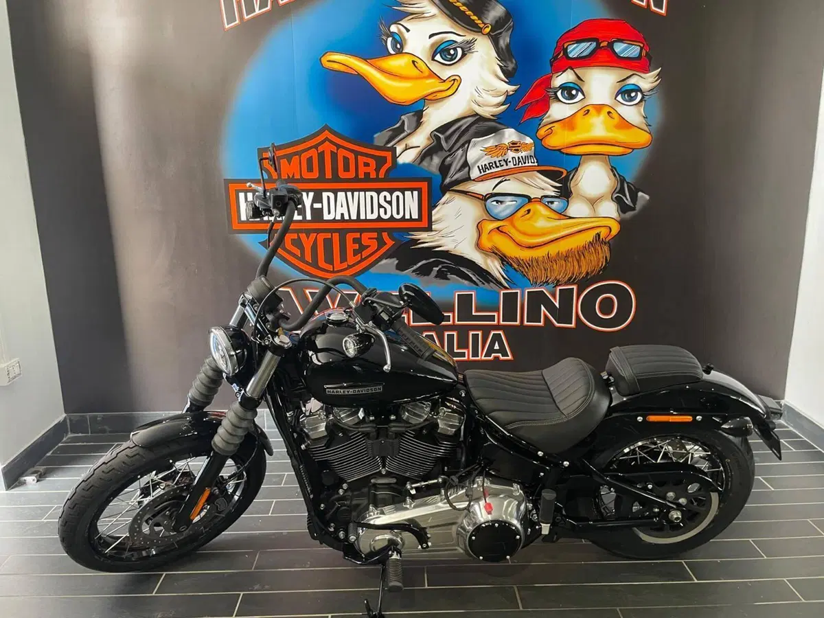 Harley-Davidson Street Bob 117 (2025 - 26) (7)
