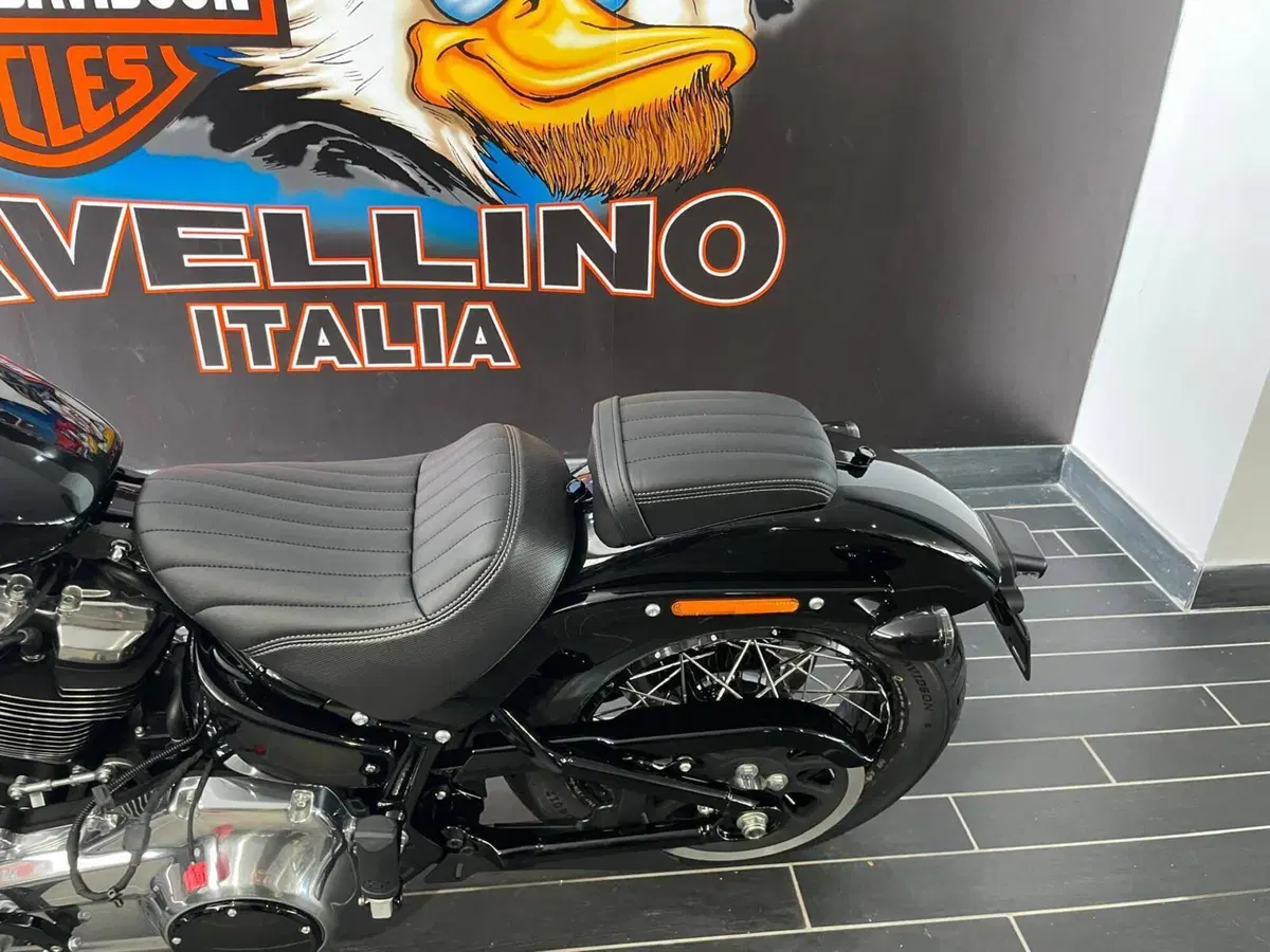 Harley-Davidson Street Bob 117 (2025 - 26) (8)