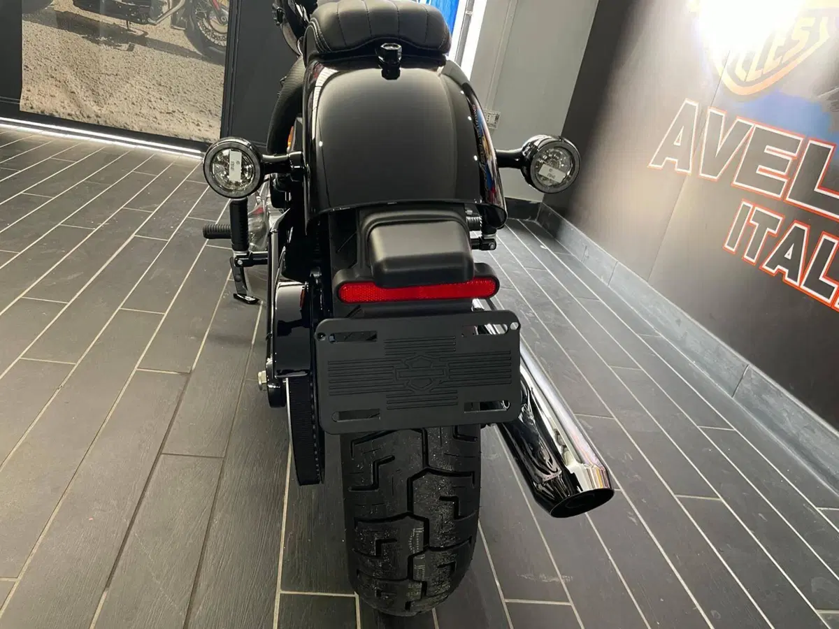 Harley-Davidson Street Bob 117 (2025 - 26) (10)