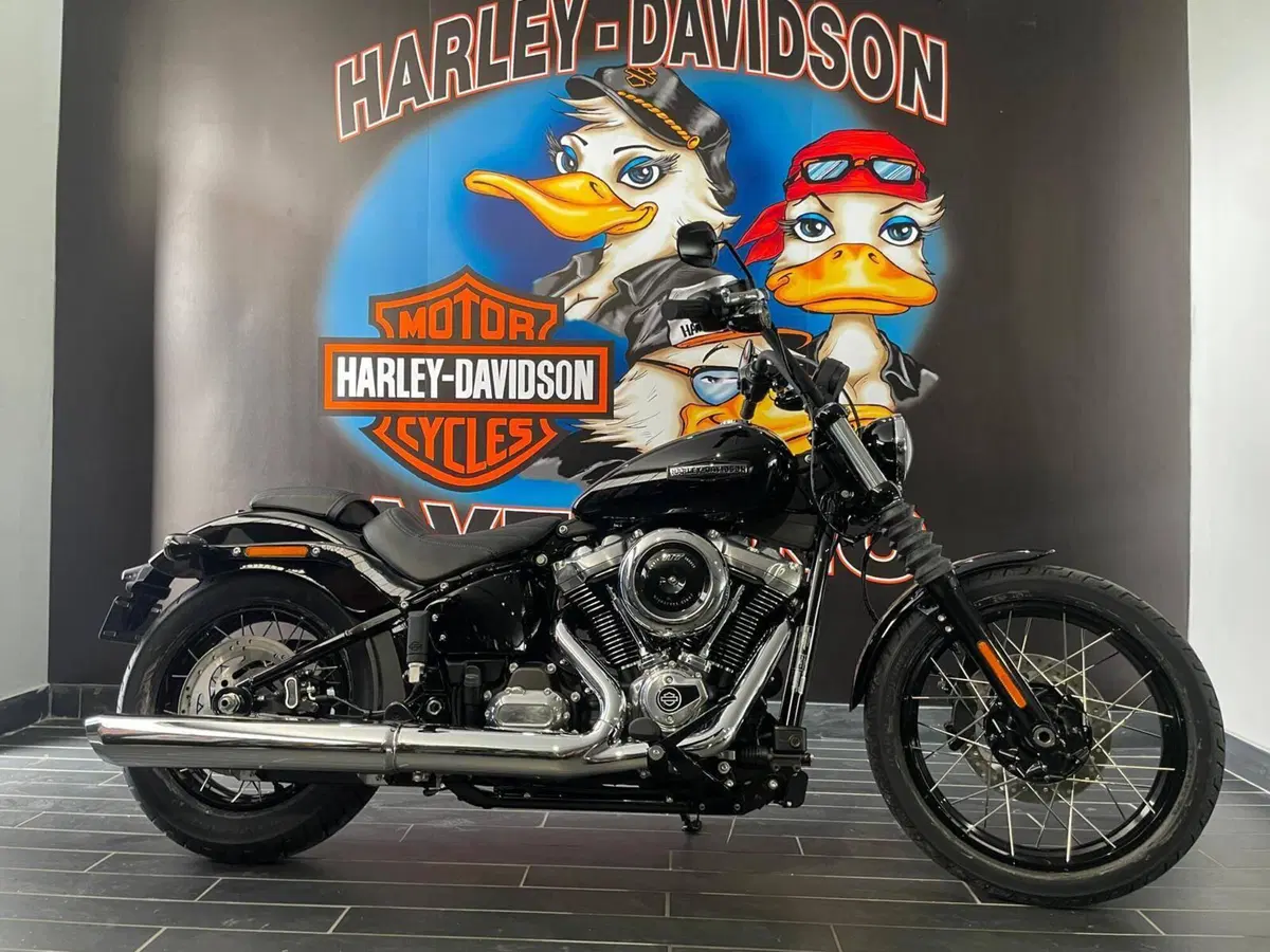 Harley-Davidson Street Bob 117 (2025 - 26) (11)