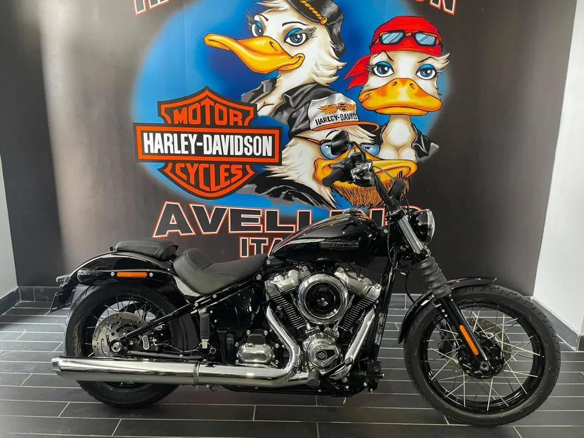 Harley-Davidson Street Bob 117 (2025 - 26) (12)