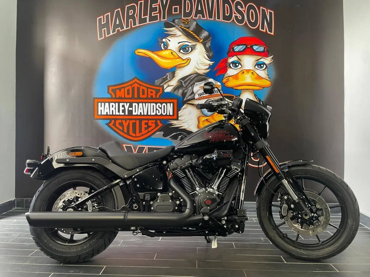 Harley-Davidson Low Rider S (2025 - 26) (2)