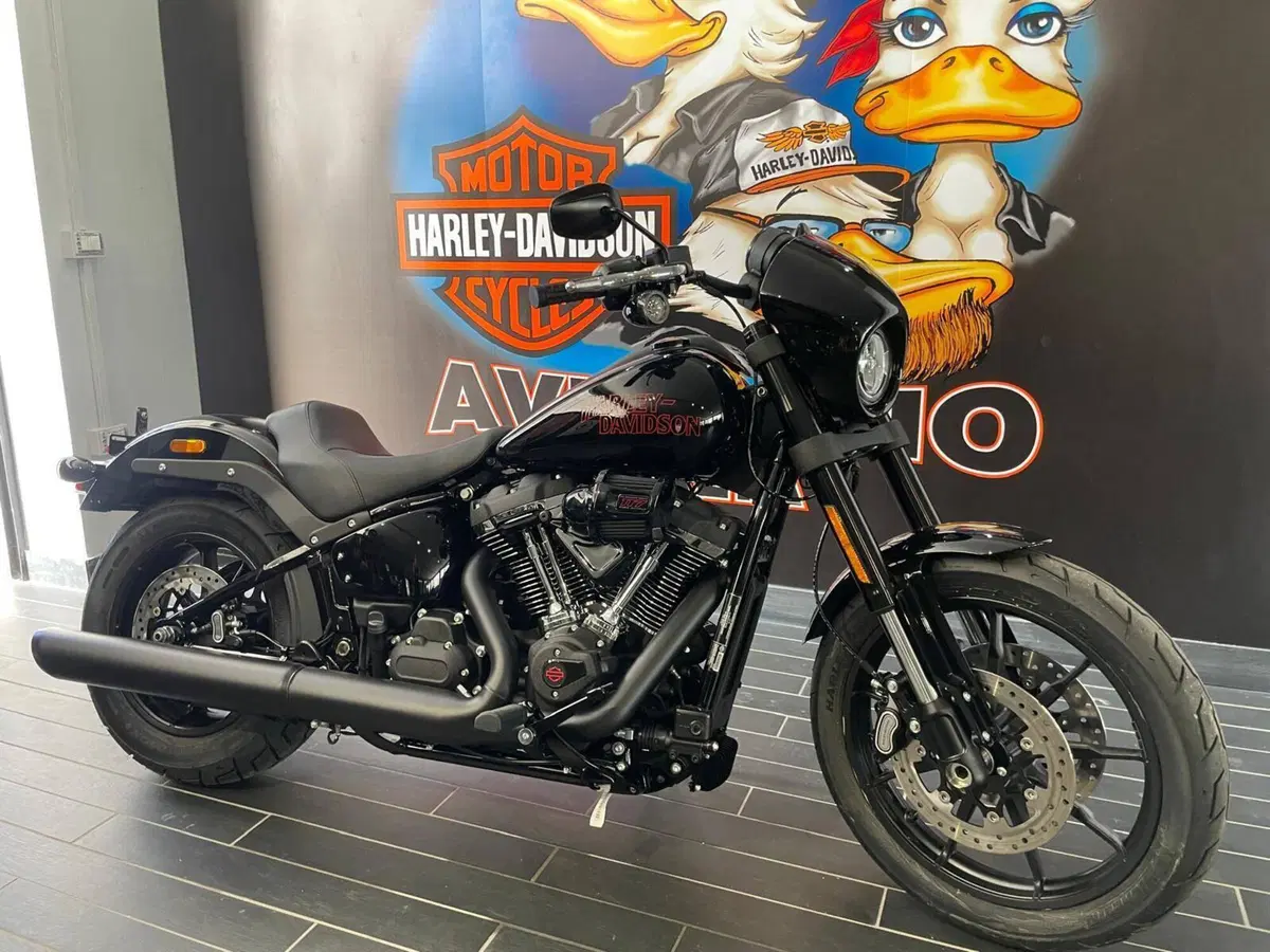 Harley-Davidson Low Rider S (2025 - 26) (3)