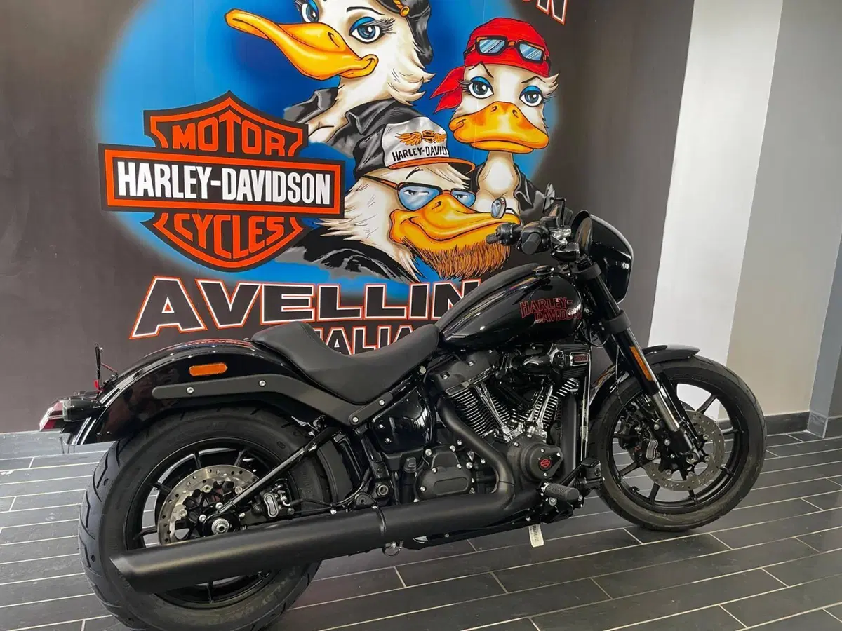 Harley-Davidson Low Rider S (2025 - 26) (4)