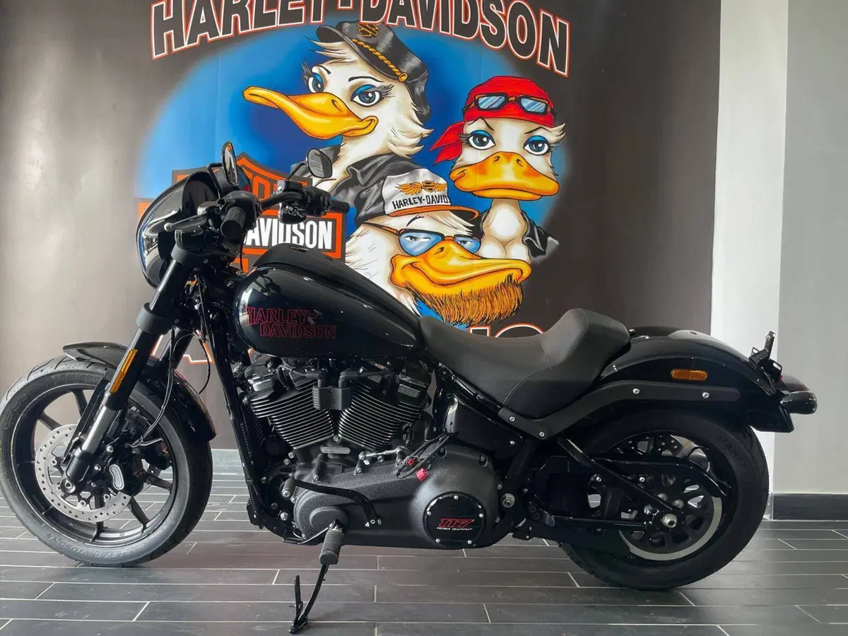 Harley-Davidson Low Rider S (2025 - 26) (5)