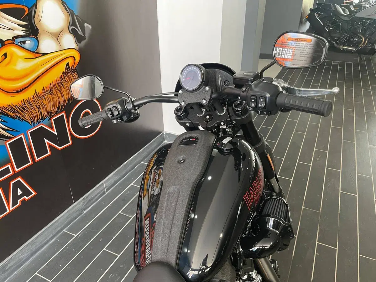 Harley-Davidson Low Rider S (2025 - 26) (6)