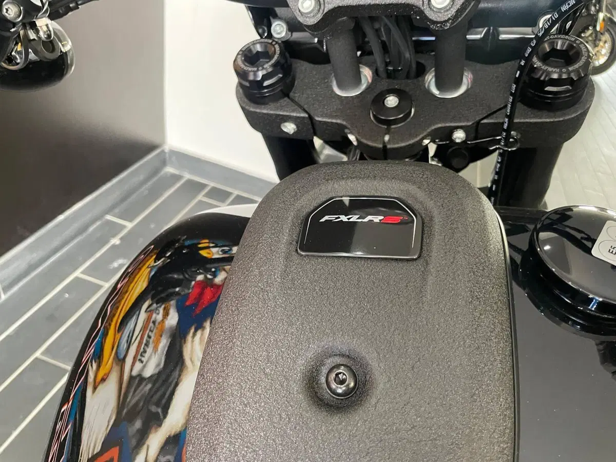 Harley-Davidson Low Rider S (2025 - 26) (7)