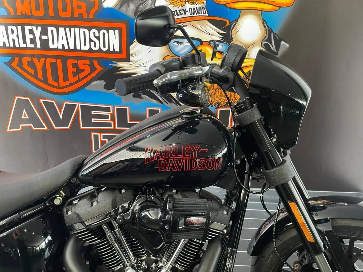 Harley-Davidson Low Rider S (2025 - 26) (8)