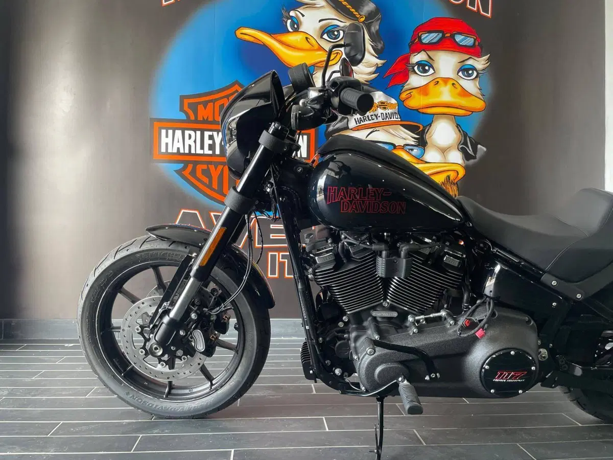 Harley-Davidson Low Rider S (2025 - 26) (9)