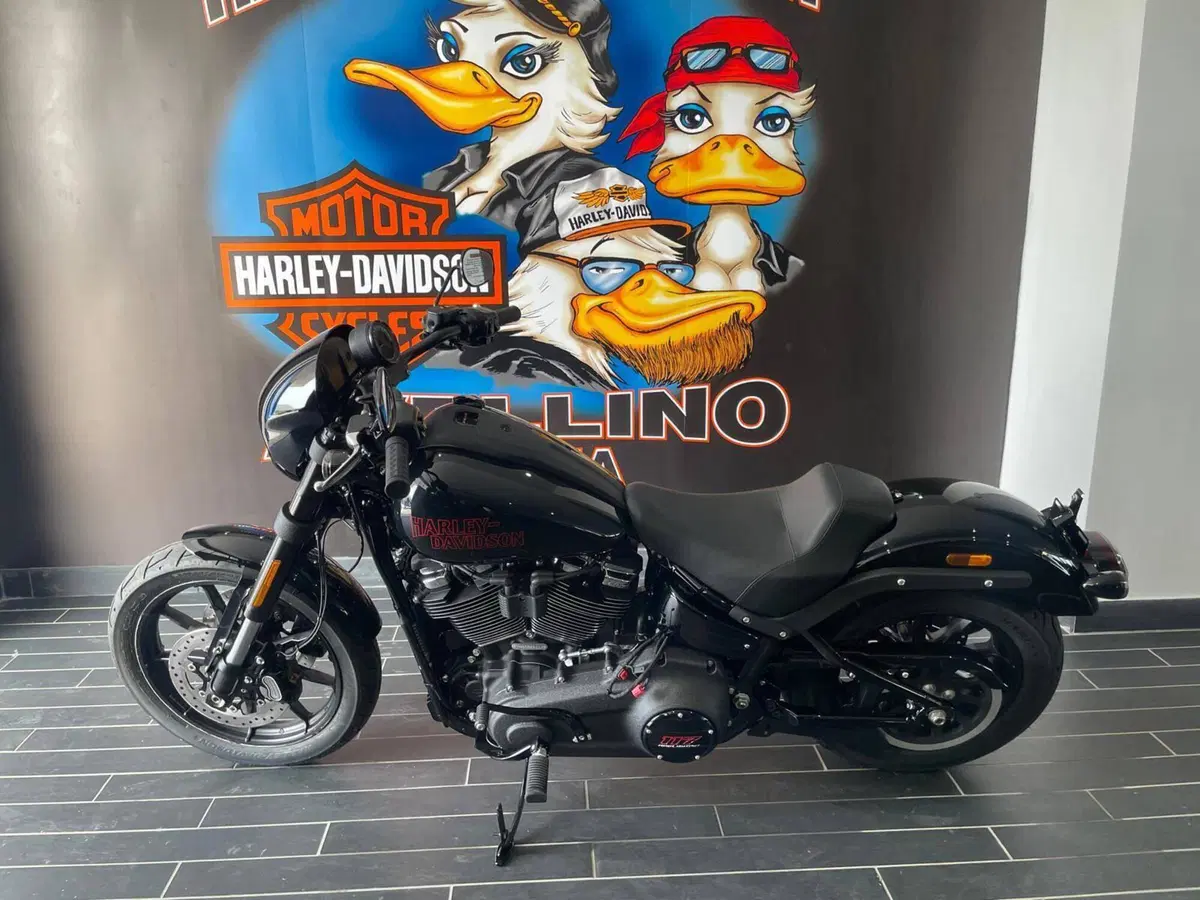Harley-Davidson Low Rider S (2025 - 26) (10)