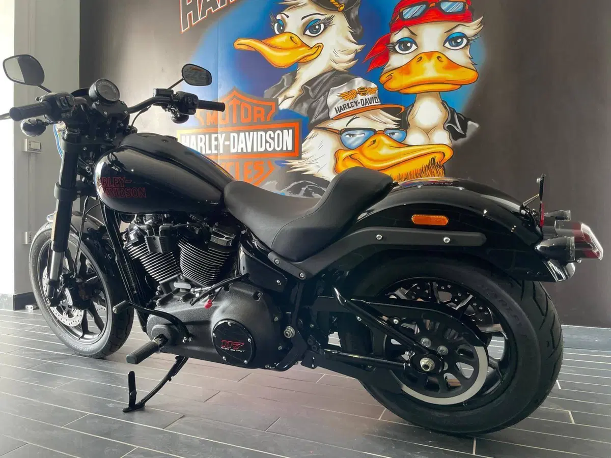 Harley-Davidson Low Rider S (2025 - 26) (11)
