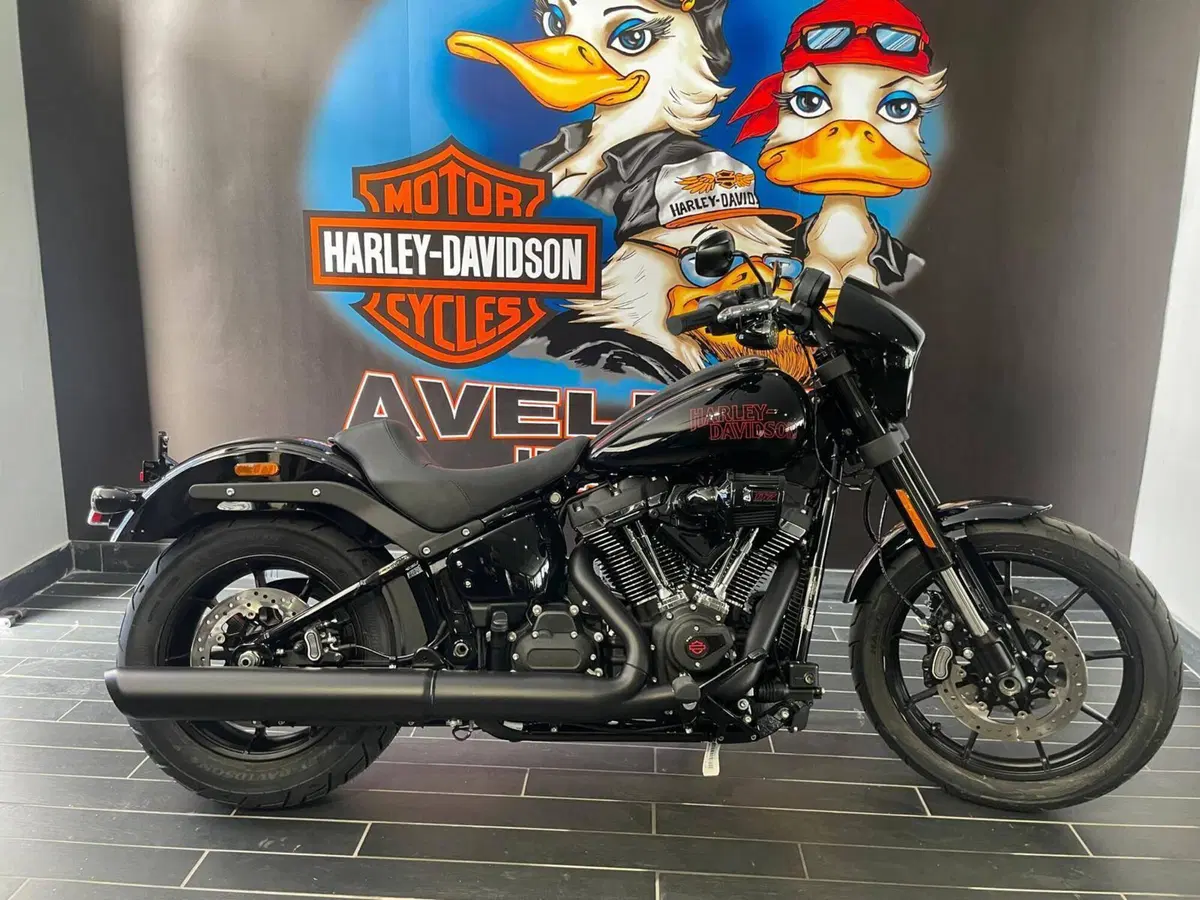 Harley-Davidson Low Rider S (2025 - 26) (13)