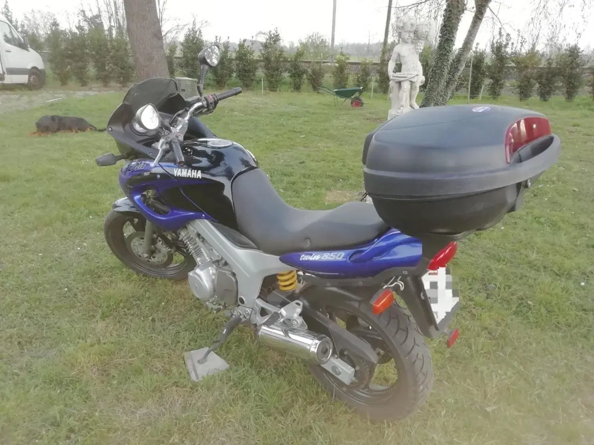 Yamaha TDM 850 (1996 - 01) (3)