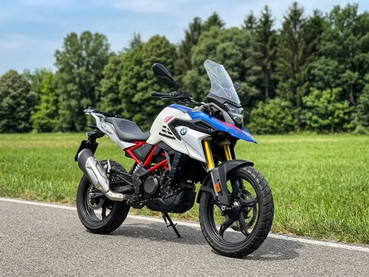 Bmw G 310 GS (2021 - 25) (2)