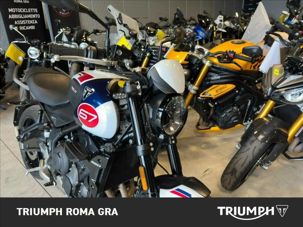 Triumph Trident 660 Triple Tribute Edition (2024) (13)