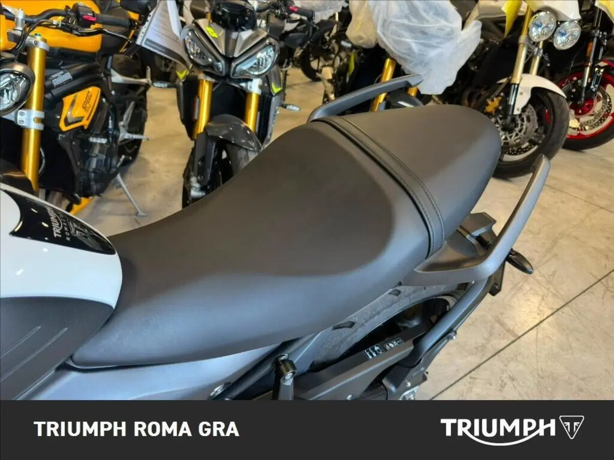 Triumph Trident 660 Triple Tribute Edition (2024) (10)