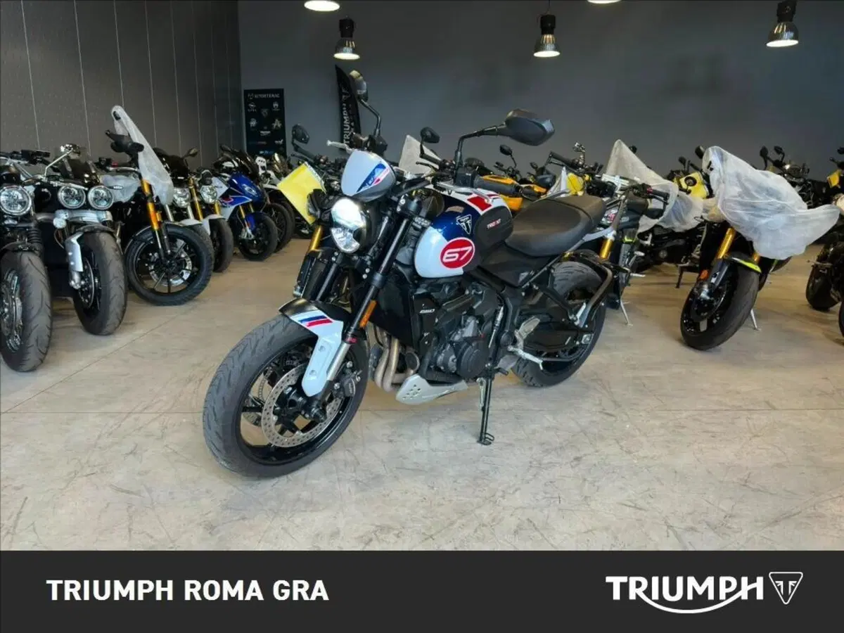 Triumph Trident 660 Triple Tribute Edition (2024) (3)