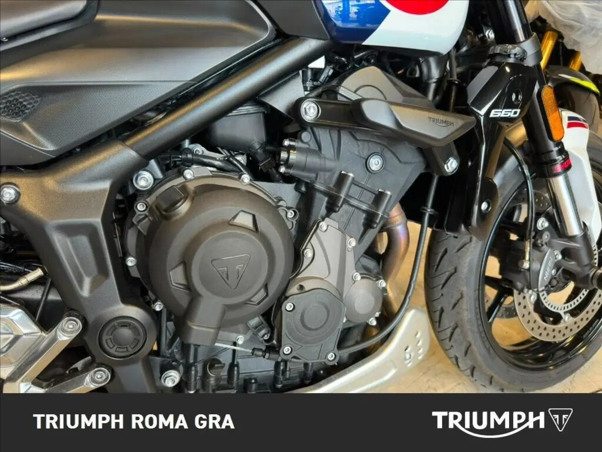 Triumph Trident 660 Triple Tribute Edition (2024) (6)